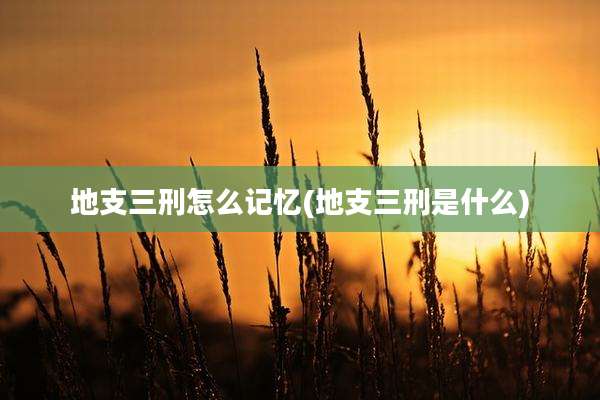 地支三刑怎么记忆(地支三刑是什么)