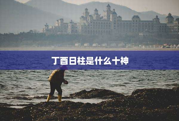 丁酉日柱是什么十神