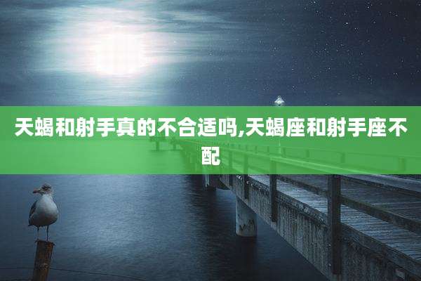 天蝎和射手真的不合适吗,天蝎座和射手座不配