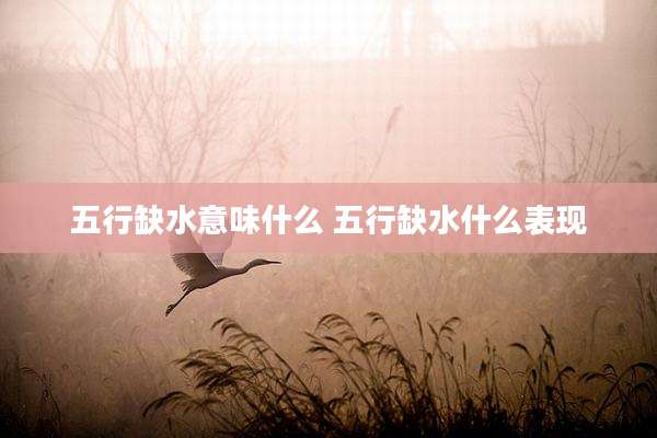 五行缺水意味什么 五行缺水什么表现