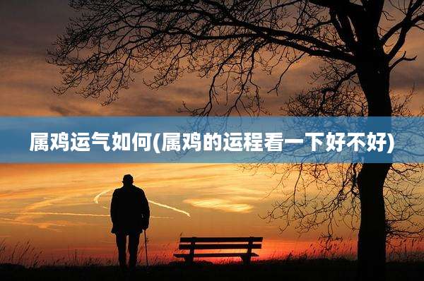 属鸡运气如何(属鸡的运程看一下好不好)