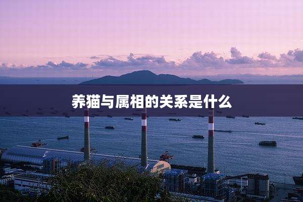 养猫与属相的关系是什么