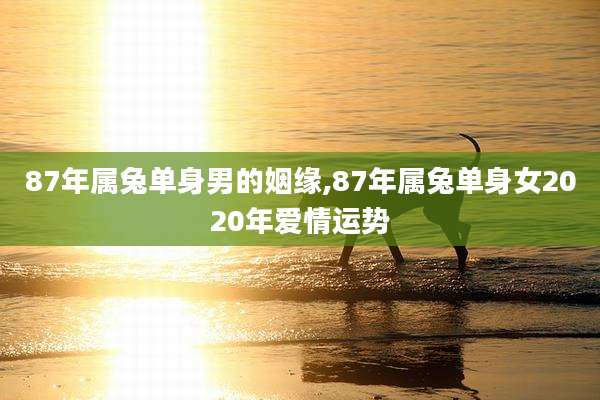 87年属兔单身男的姻缘,87年属兔单身女2020年爱情运势