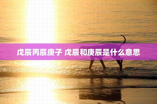 戊辰丙辰庚子 戊辰和庚辰是什么意思
