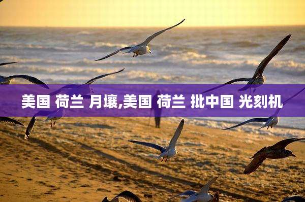 美国 荷兰 月壤,美国 荷兰 批中国 光刻机