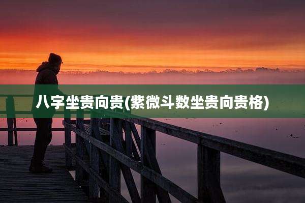 八字坐贵向贵(紫微斗数坐贵向贵格)