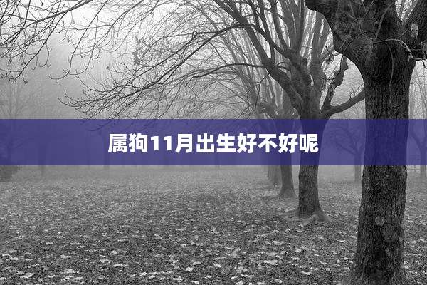 属狗11月出生好不好呢