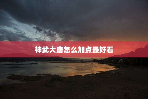 神武大唐怎么加点最好看