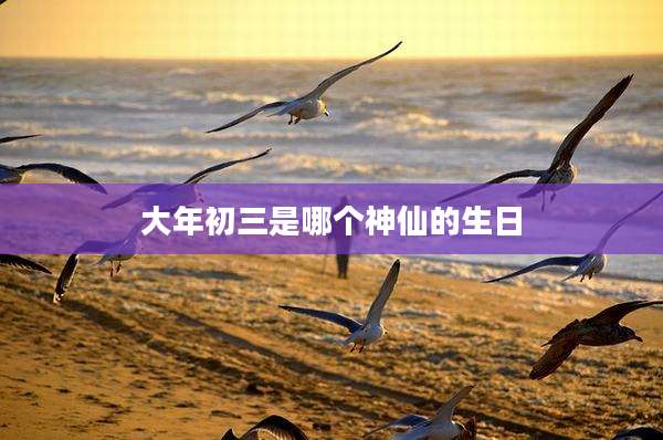 大年初三是哪个神仙的生日