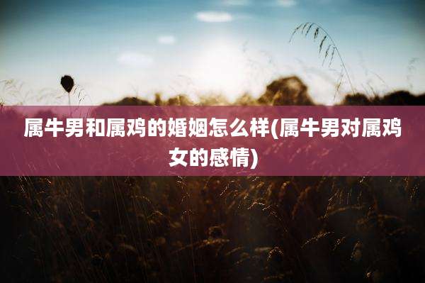 属牛男和属鸡的婚姻怎么样(属牛男对属鸡女的感情)
