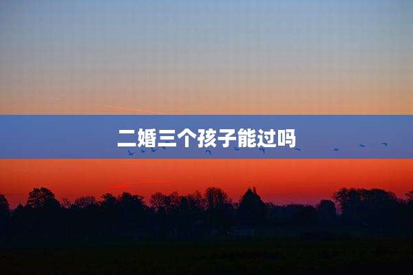 二婚三个孩子能过吗