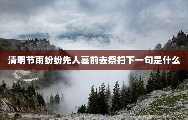 清明节雨纷纷先人墓前去祭扫下一句是什么