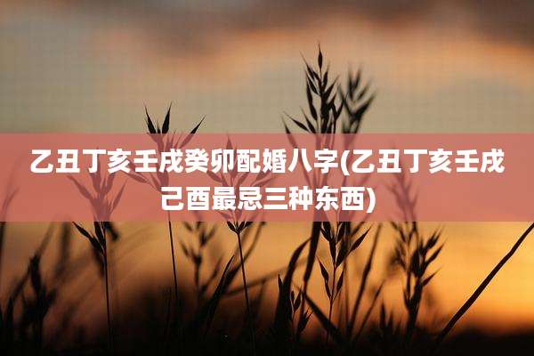 乙丑丁亥壬戌癸卯配婚八字(乙丑丁亥壬戌己酉最忌三种东西)