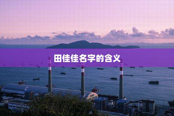 田佳佳名字的含义