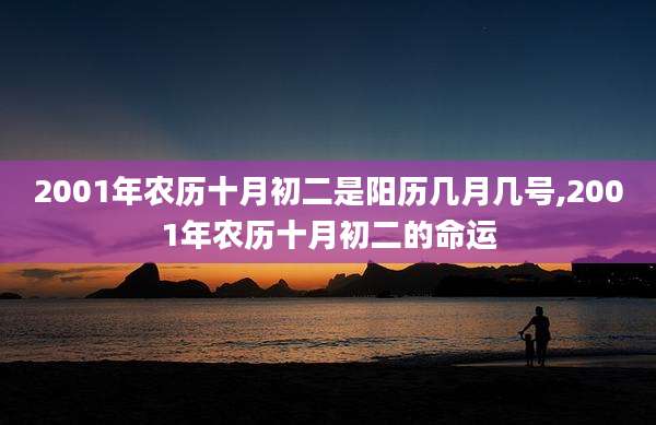 2001年农历十月初二是阳历几月几号,2001年农历十月初二的命运