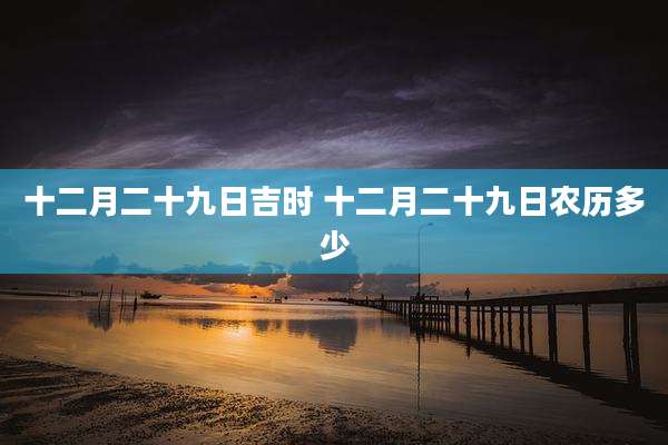 十二月二十九日吉时 十二月二十九日农历多少
