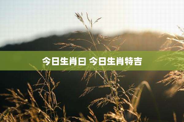 今日生肖曰 今日生肖特吉