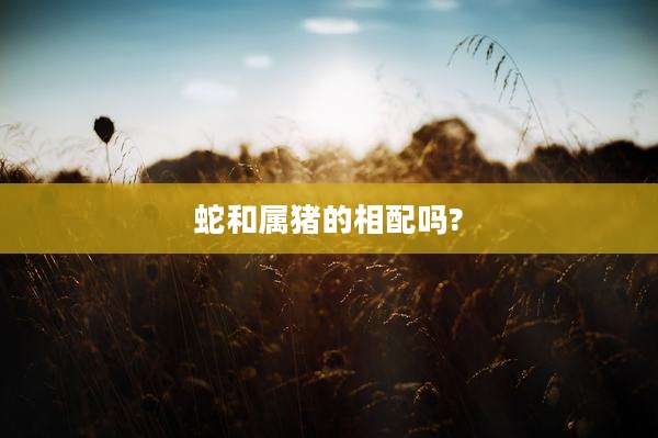 蛇和属猪的相配吗?
