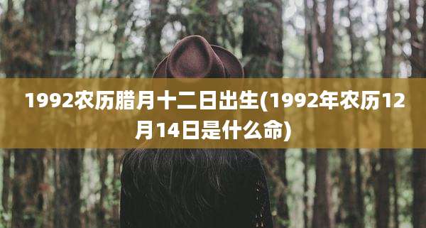 1992农历腊月十二日出生(1992年农历12月14日是什么命)