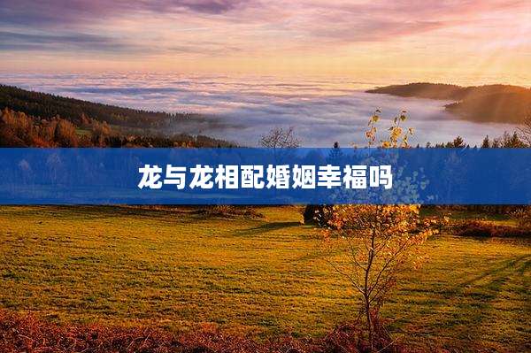 龙与龙相配婚姻幸福吗