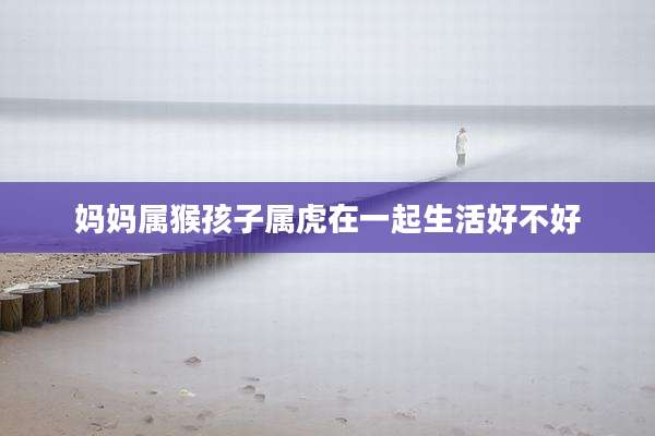 妈妈属猴孩子属虎在一起生活好不好