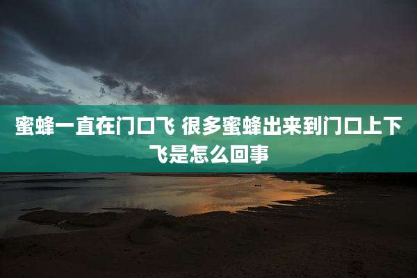 蜜蜂一直在门口飞 很多蜜蜂出来到门口上下飞是怎么回事