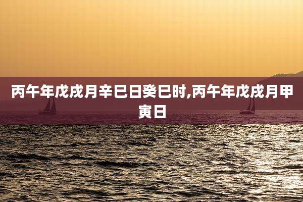丙午年戊戌月辛巳日癸巳时,丙午年戊戌月甲寅日