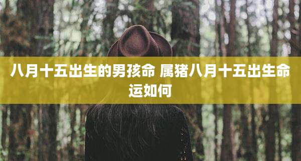 八月十五出生的男孩命 属猪八月十五出生命运如何