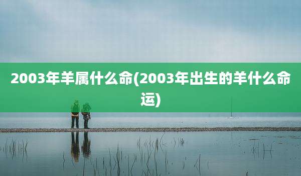 2003年羊属什么命(2003年出生的羊什么命运)