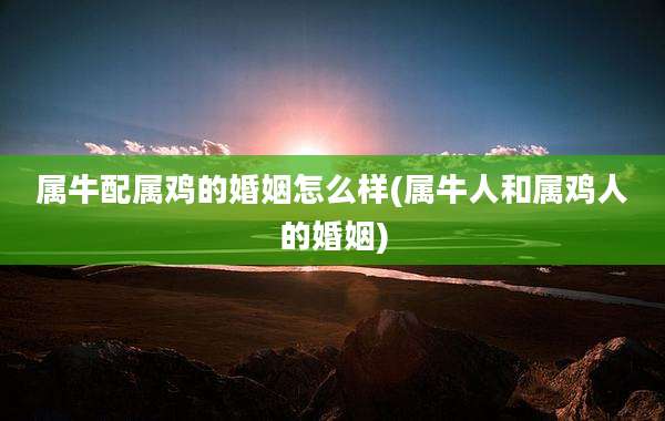 属牛配属鸡的婚姻怎么样(属牛人和属鸡人的婚姻)