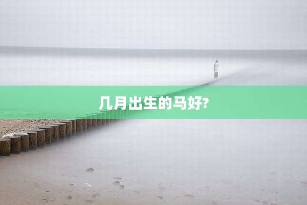 几月出生的马好?