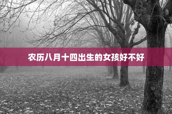 农历八月十四出生的女孩好不好