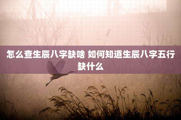怎么查生辰八字缺啥 如何知道生辰八字五行缺什么