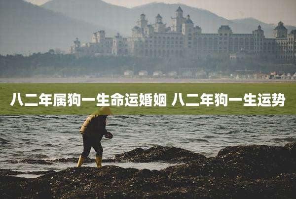 八二年属狗一生命运婚姻 八二年狗一生运势