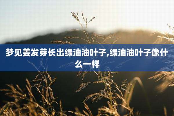 梦见姜发芽长出绿油油叶子,绿油油叶子像什么一样