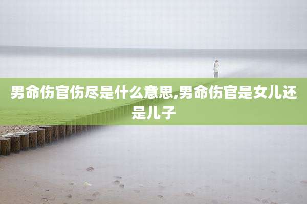 男命伤官伤尽是什么意思,男命伤官是女儿还是儿子