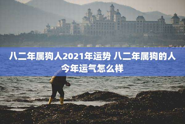 八二年属狗人2021年运势 八二年属狗的人今年运气怎么样