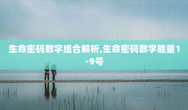 生命密码数字组合解析,生命密码数字能量1-9号