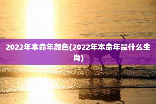 2022年本命年颜色(2022年本命年是什么生肖)