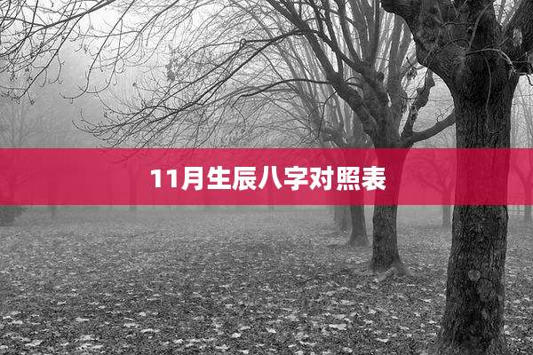 11月生辰八字对照表