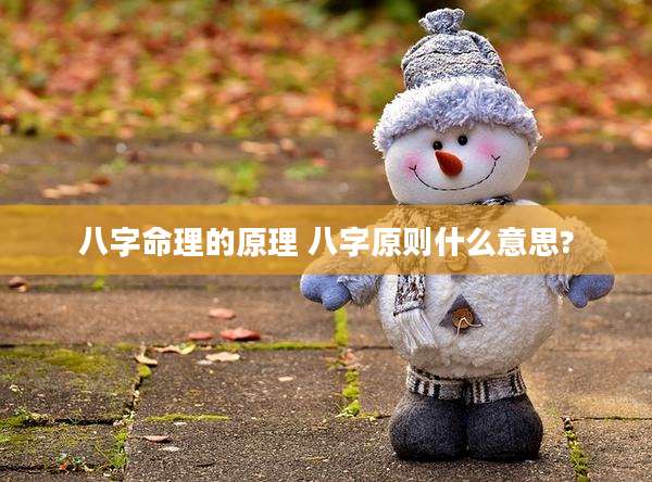 八字命理的原理 八字原则什么意思?