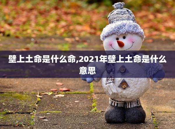 壁上土命是什么命,2021年壁上土命是什么意思