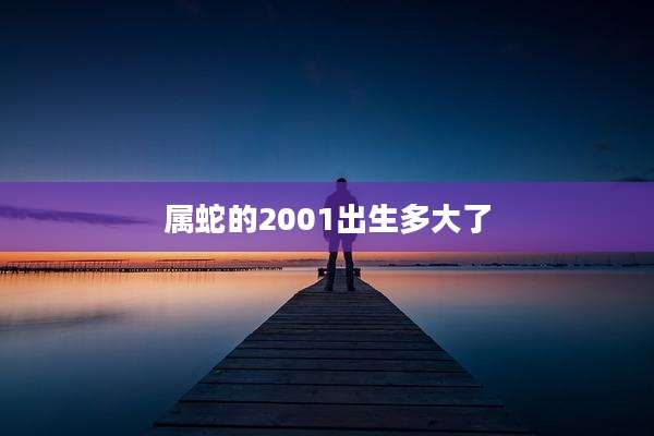 属蛇的2001出生多大了