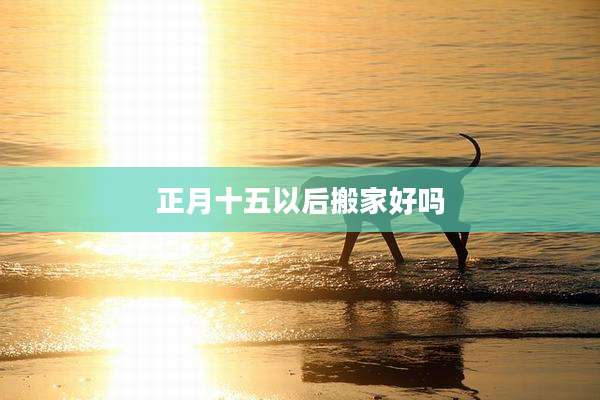 正月十五以后搬家好吗