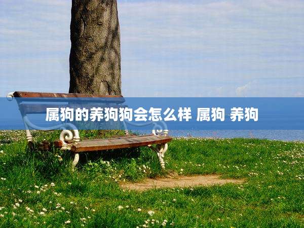 属狗的养狗狗会怎么样 属狗 养狗