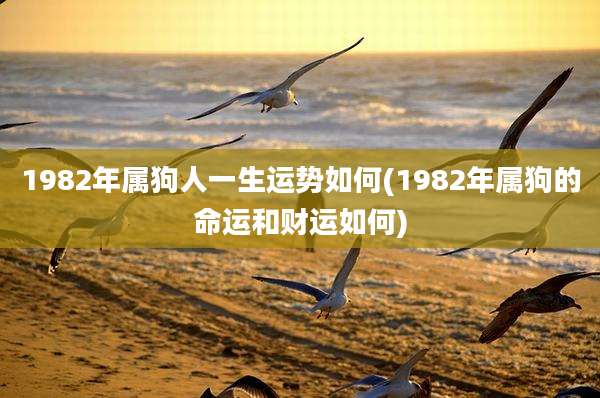 1982年属狗人一生运势如何(1982年属狗的命运和财运如何)
