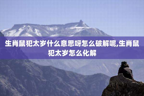 生肖鼠犯太岁什么意思呀怎么破解呢,生肖鼠犯太岁怎么化解