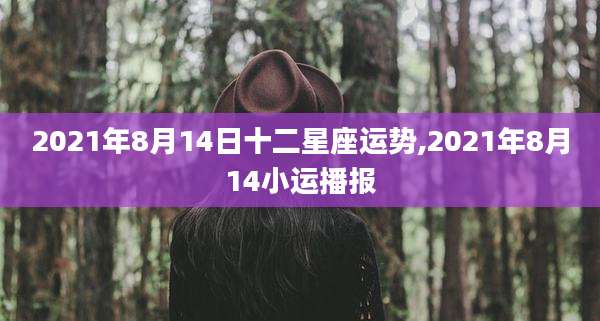 2021年8月14日十二星座运势,2021年8月14小运播报