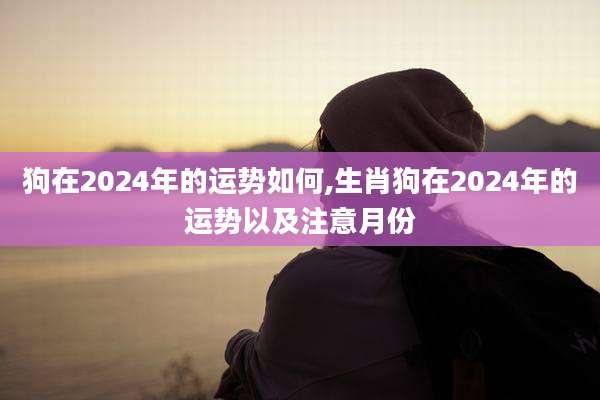 狗在2024年的运势如何,生肖狗在2024年的运势以及注意月份