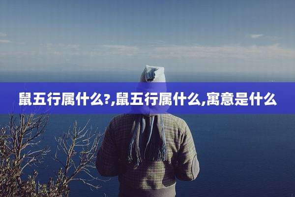 鼠五行属什么?,鼠五行属什么,寓意是什么